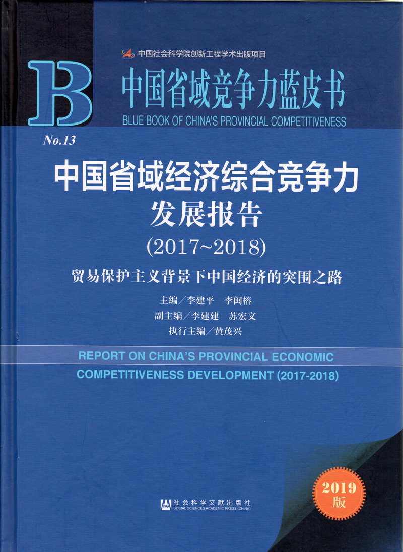 骚货自慰一起草网站免费看中国省域经济综合竞争力发展报告（2017-2018）