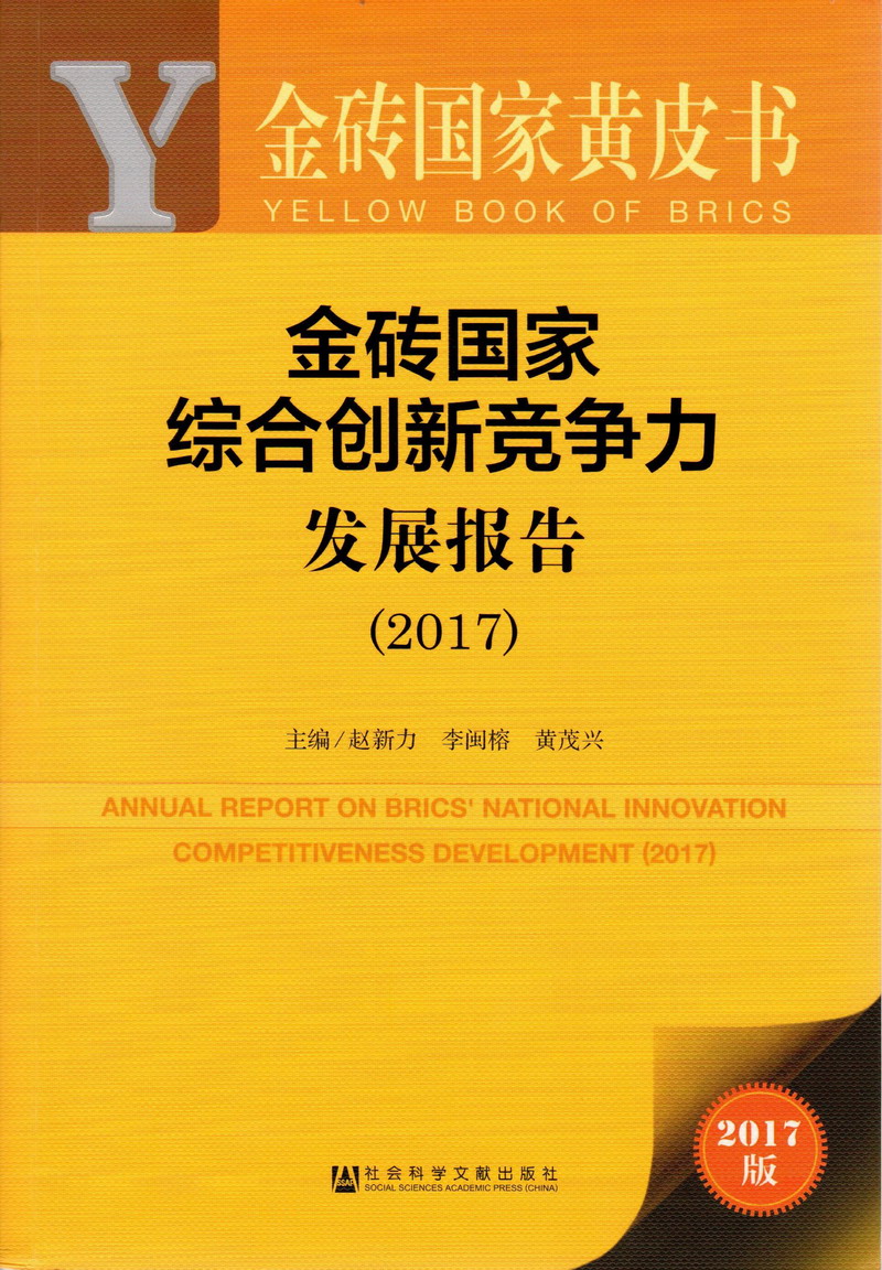 骚逼被鸡巴抽插到高潮喷水视频金砖国家综合创新竞争力发展报告（2017）